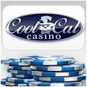 Cool Cat - 100 in free cash